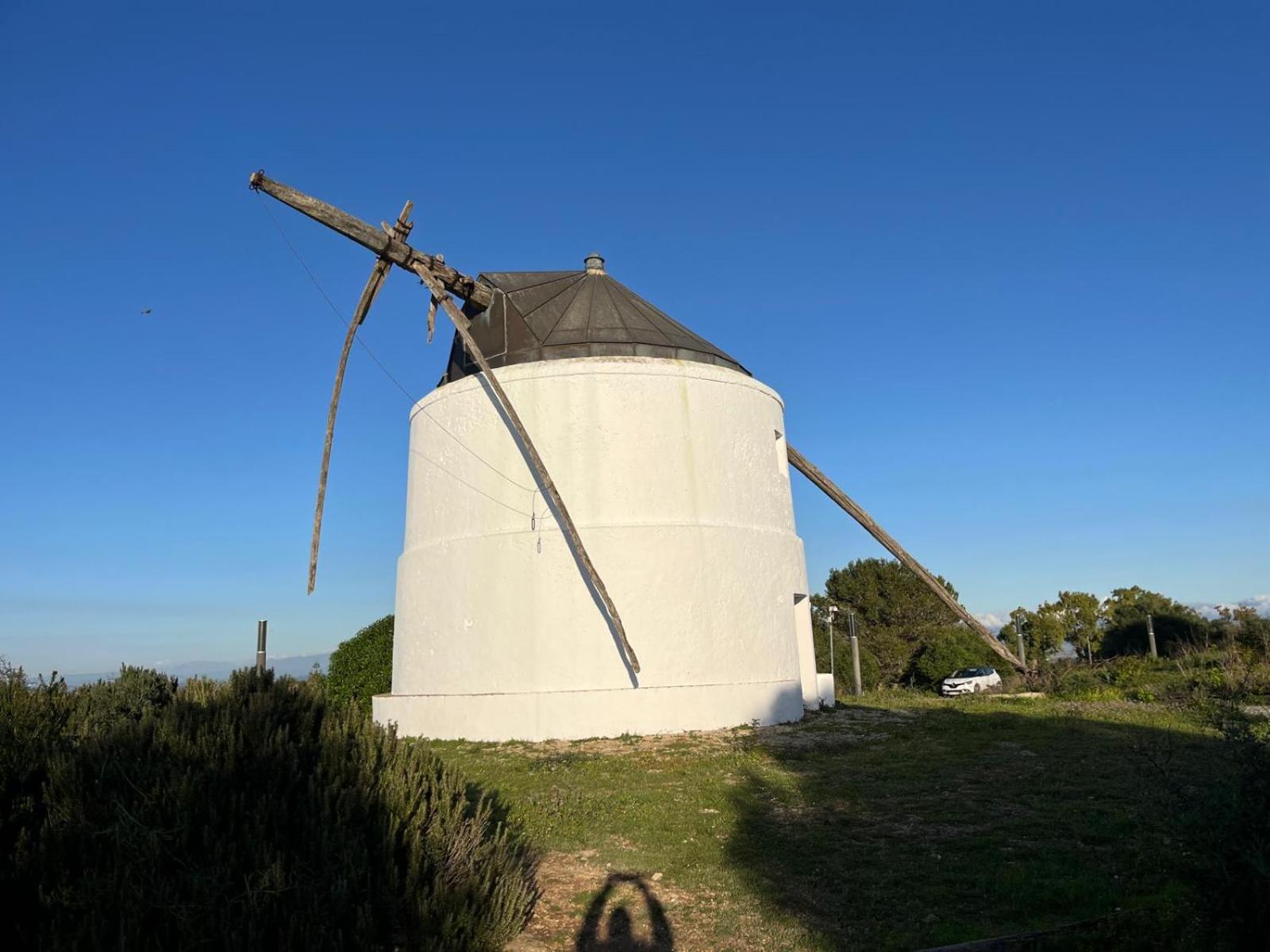 Estudio Los Mellis Vejer de la Frontera Exterior photo
